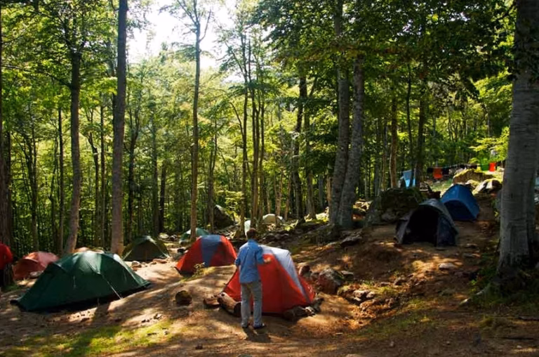 Location de camping-car courte durée